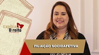 Explica Direito Filiação Socioafetiva  2019 [upl. by Enirehtak]