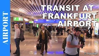 TRANSIT WALK AT FRANKFURT Airport FRA Terminal 1  Connection Flight Transfer Arriving amp Departing [upl. by Eicam]